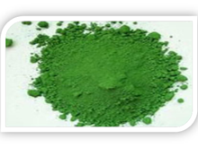 �����t�G